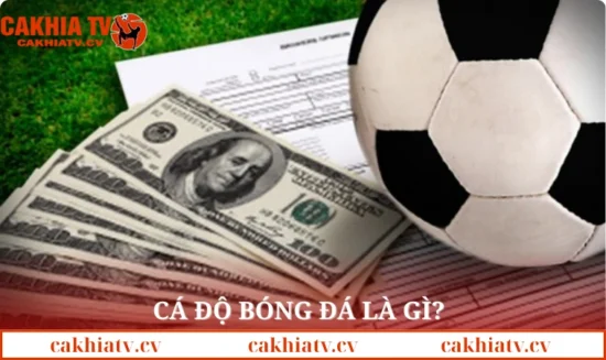 Cá độ bóng đá là gì