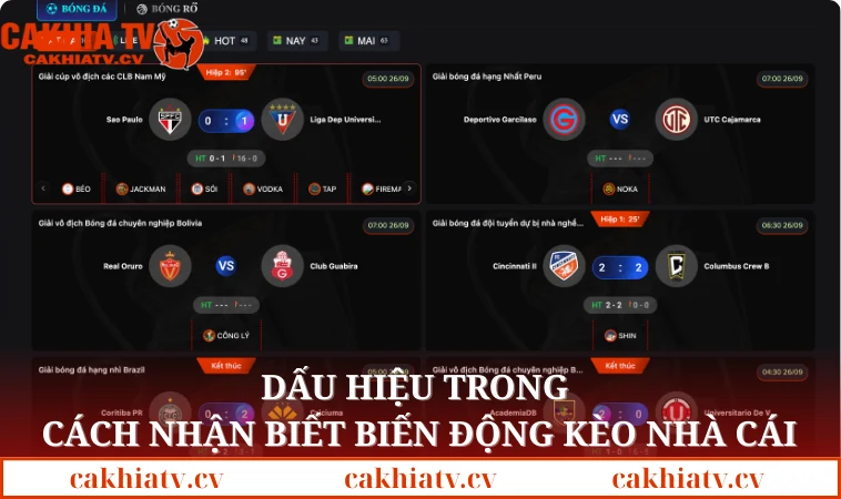 Dấu hiệu trong cách nhận biết biến động kèo nhà cái