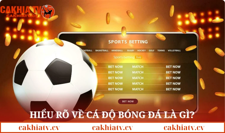 Hiểu rõ về cá độ bóng đá là gì?