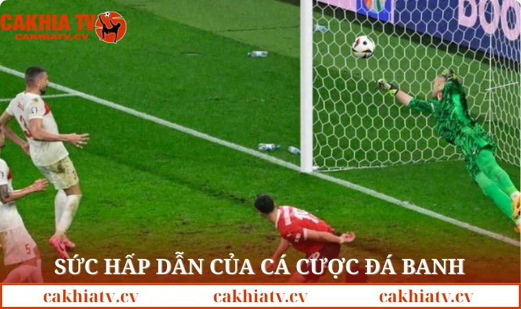 Sức hấp dẫn của cá cược đá banh