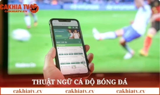 thuật ngữ cá độ bóng đá